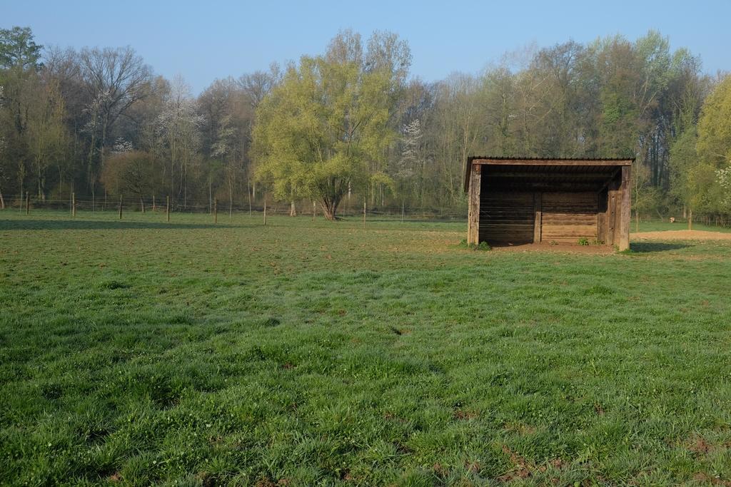 Tielt B&B Silentium מראה חיצוני תמונה